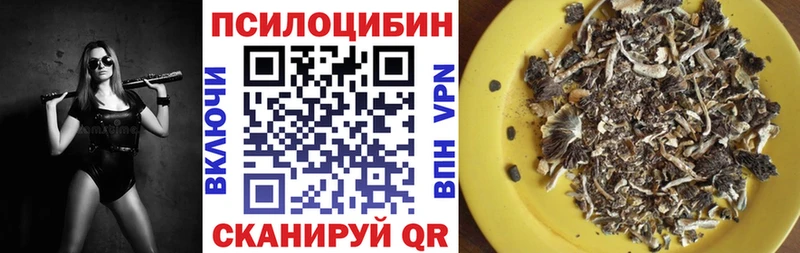 Купить закладки  Вольск  Галлюциногенные грибы Psilocybine cubensis 